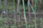 IMG_2014_08_09_9999_118