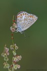 EOS 7D Mark II_2017_08_25_32760