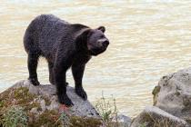 alaska