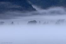 alaska