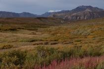 alaska