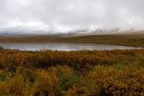 alaska