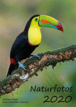 Link zur PDF Kalender 2020