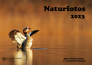 Link zur PDF Kalender 2023