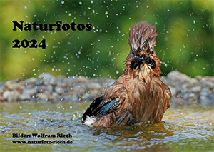 Link zur PDF Kalender 2024