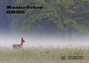 Link zur PDF Kalender 2026